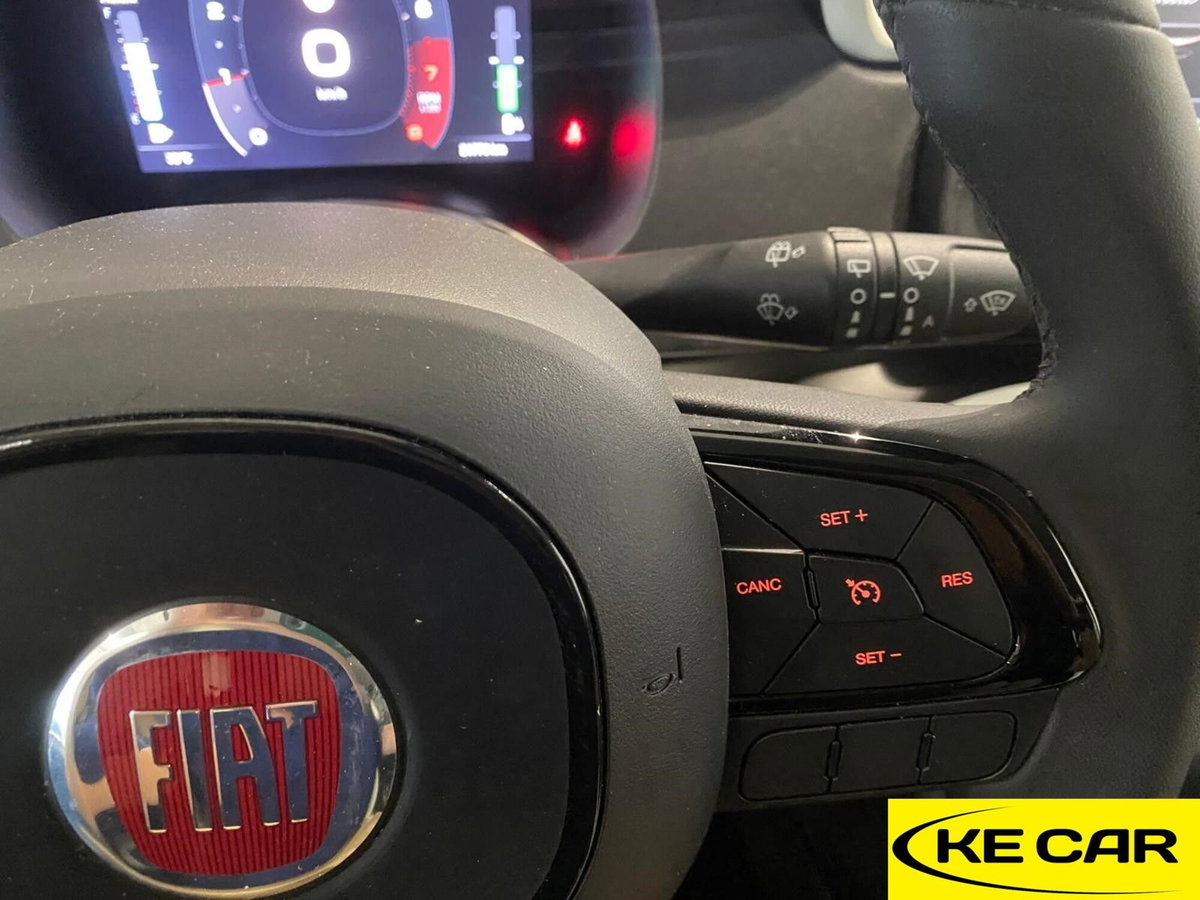 Fiat Panda Cross Cross 1.0 FireFly S&S Hybrid (20)