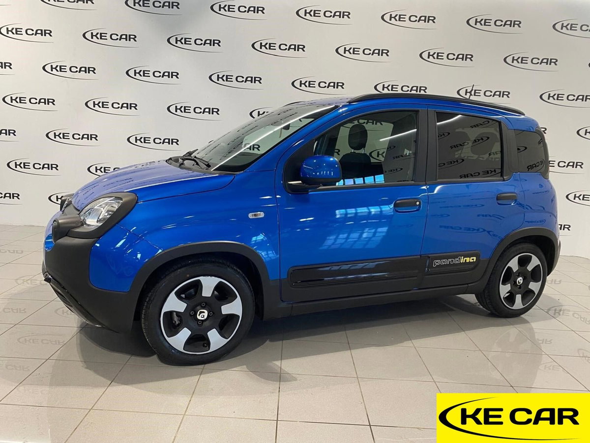 Fiat Panda Cross Cross 1.0 FireFly S&S Hybrid (4)