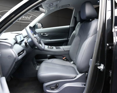 Geely Starray Starray EM-i 1.5 phev Pro auto (9)