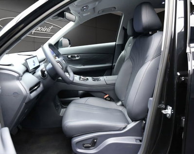 Geely Starray Starray EM-i 1.5 phev Pro auto (9)