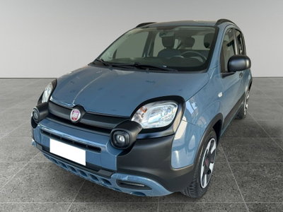 Fiat Panda 1.0 FireFly S&S Hybrid City Cross usata