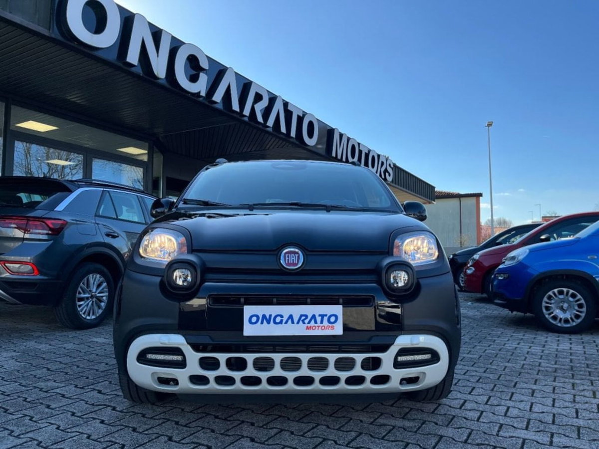 Fiat Pandina 1.0 firefly hybrid s&s 65cv (2)