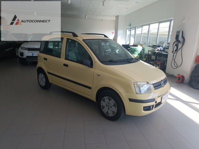 Fiat Panda 1.3 MJT 16V Dynamic usata