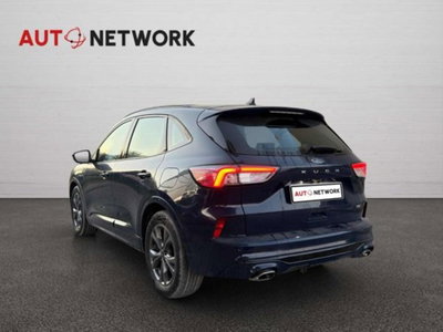 Ford Kuga 2.0 EcoBlue Hybrid 150 CV 2WD ST-Line X (3)