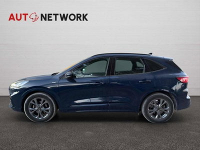 Ford Kuga 2.0 EcoBlue Hybrid 150 CV 2WD ST-Line X (7)