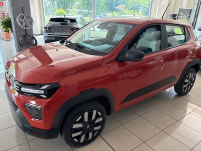 Dacia Spring Business Electric 45 (6)