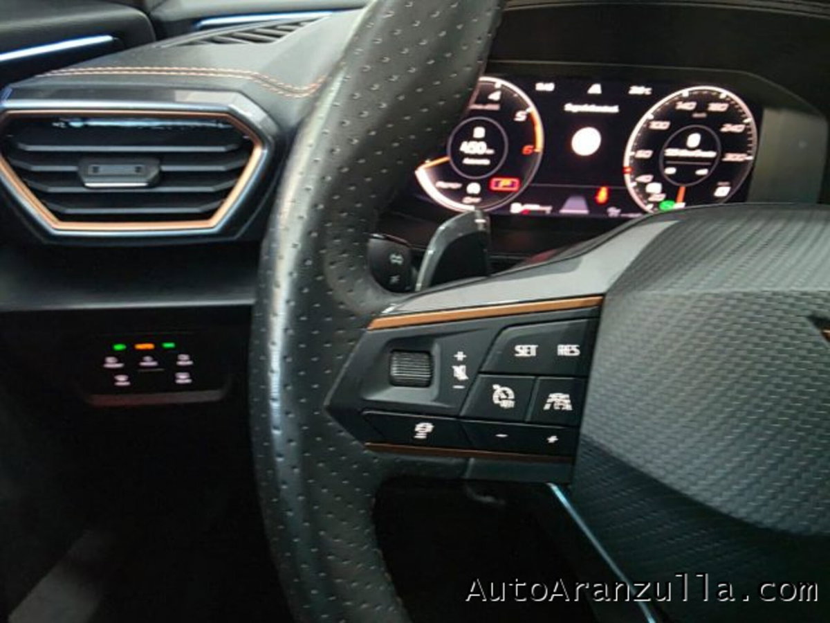 Cupra Formentor Formentor 2.0 tdi 4drive 150cv dsg (12)