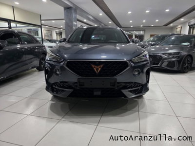 Cupra Formentor Formentor 2.0 tdi 4drive 150cv dsg (2)