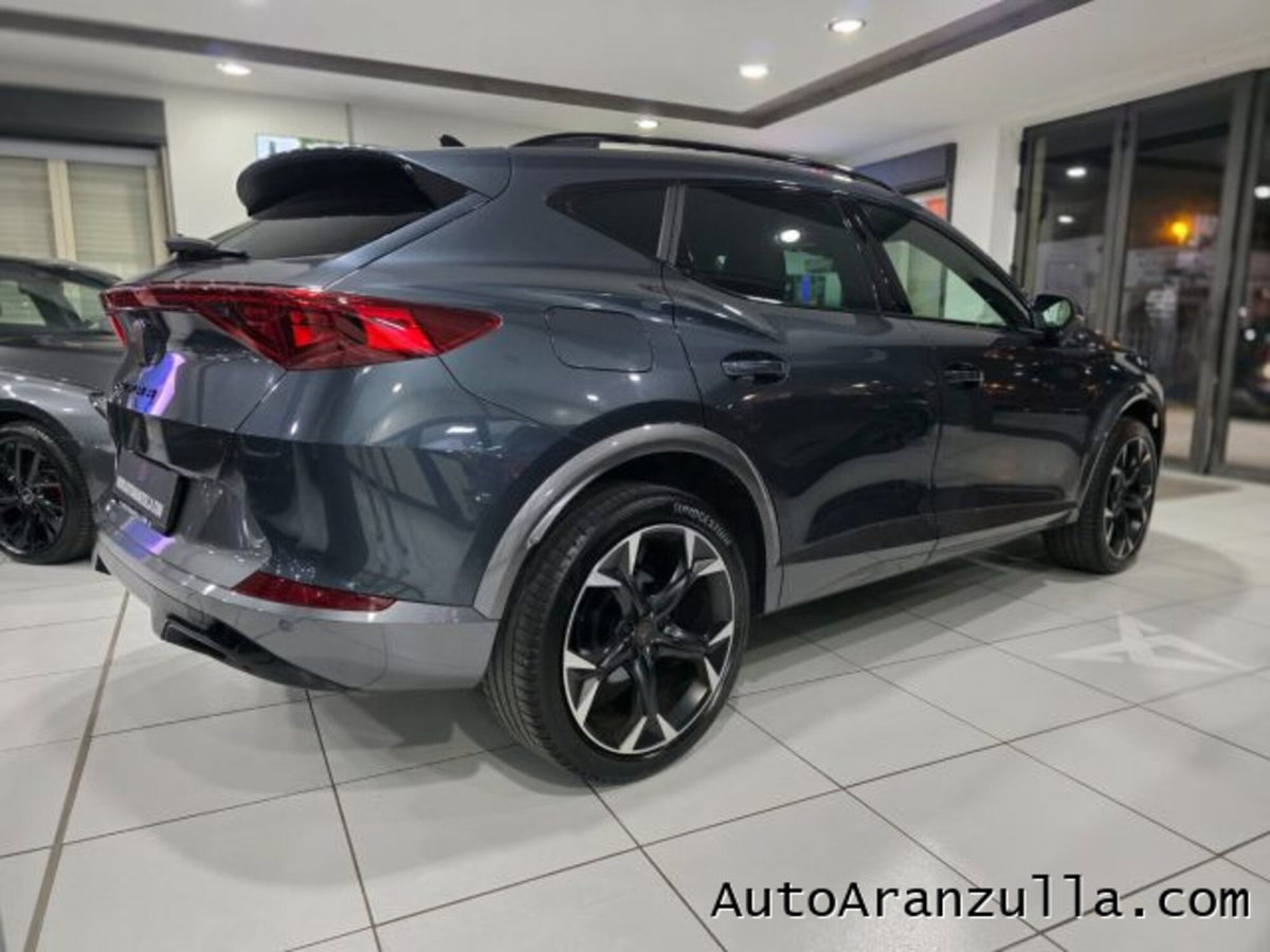 Cupra Formentor Formentor 2.0 tdi 4drive 150cv dsg (4)