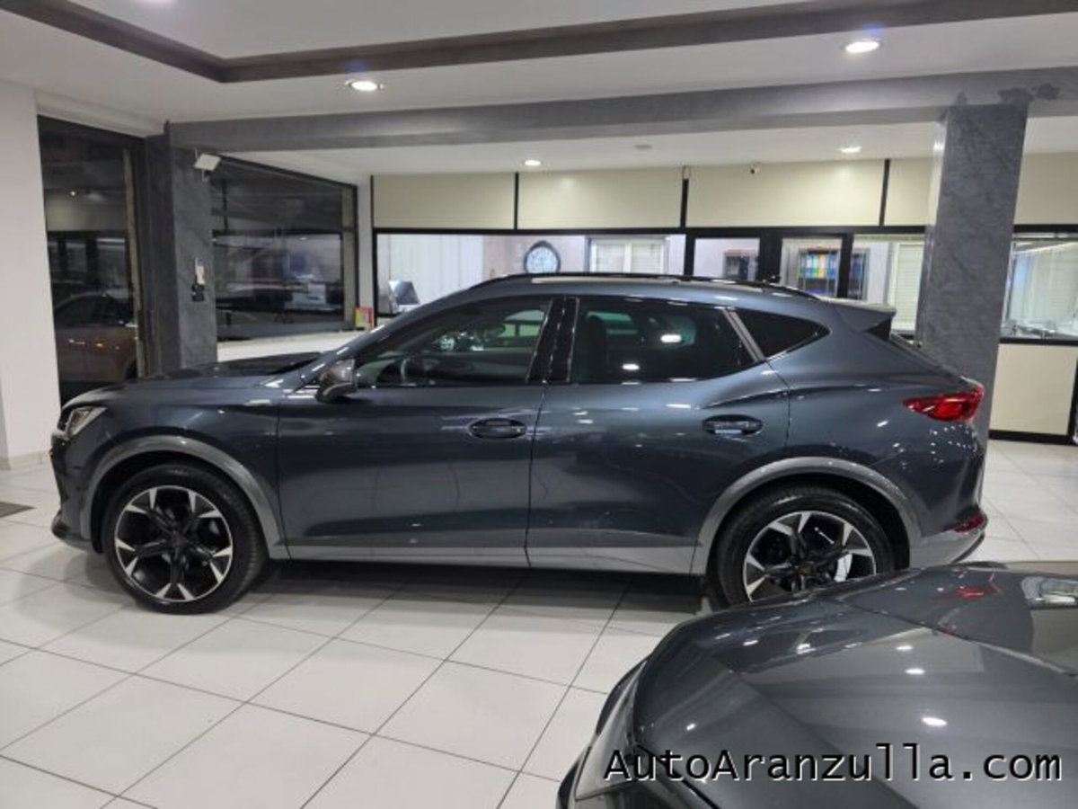 Cupra Formentor Formentor 2.0 tdi 4drive 150cv dsg (7)