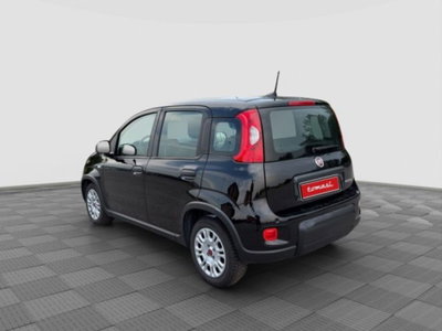 Fiat Panda 1.0 firefly hybrid Pop s&s 70cv (3)