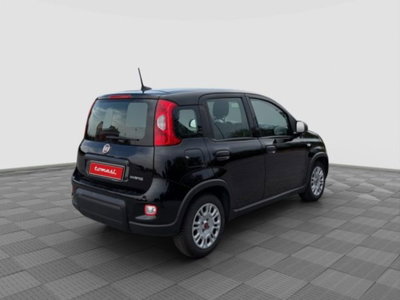 Fiat Panda 1.0 firefly hybrid Pop s&s 70cv (5)
