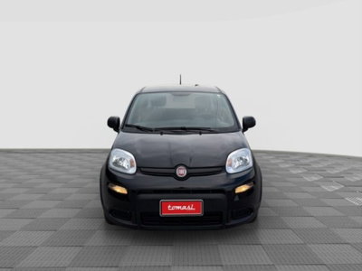 Fiat Panda 1.0 firefly hybrid Pop s&s 70cv (8)