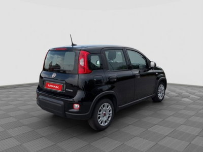 Fiat Panda 1.0 firefly hybrid Pop s&s 70cv (5)
