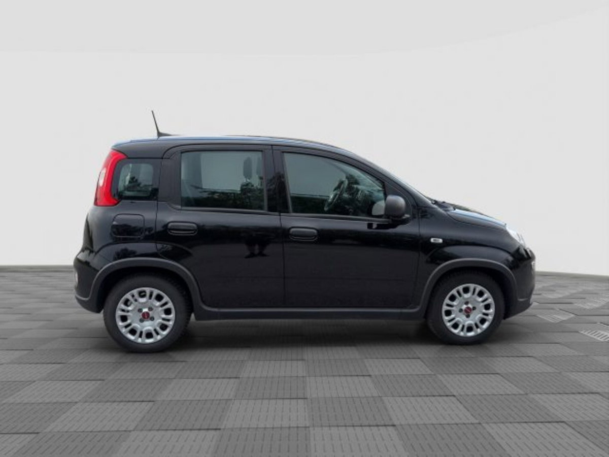 Fiat Panda 1.0 firefly hybrid Pop s&s 70cv (6)