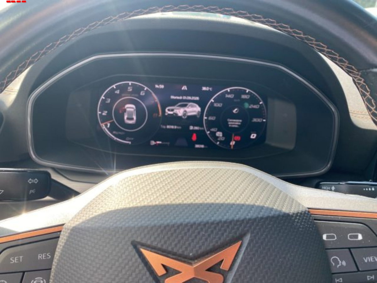 Cupra Formentor Formentor 1.5 TSI (12)