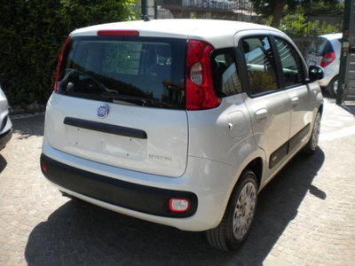 Fiat Panda 1.0 firefly hybrid s&s 70cv 5p.ti (15)