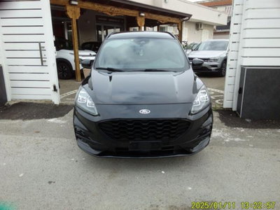 Ford Kuga 1.5 EcoBlue 120 CV 2WD ST-Line (2)