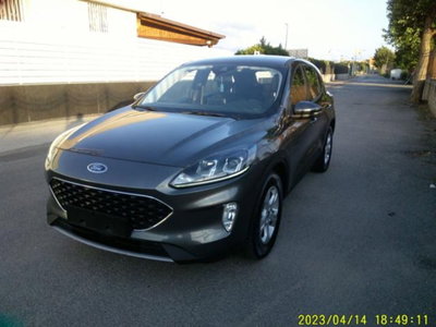 Ford Kuga 1.5 EcoBlue 120 CV 2WD Titanium (13)
