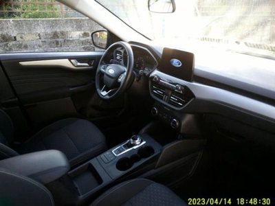 Ford Kuga 1.5 EcoBlue 120 CV 2WD Titanium (8)