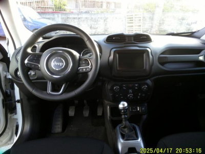 Jeep Renegade 1.6 Mjt 130 CV Limited (17)