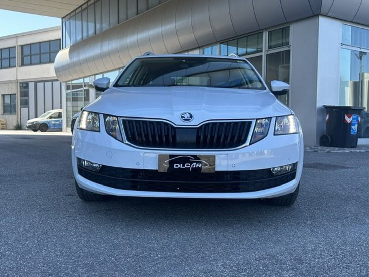 Skoda Octavia Station Wagon 2.0 TDI EVO SCR 150 CV DSG 4x4 Wagon Style (4)