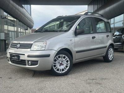 Fiat Panda 1.2 Dynamic usata