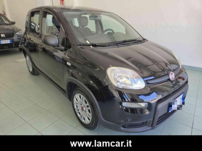 Fiat Panda 1.0 firefly hybrid s&s 70cv 5p.ti usata