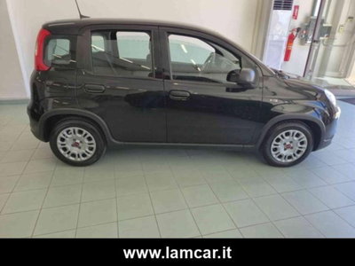 Fiat Panda 1.0 firefly hybrid s&s 70cv 5p.ti (11)