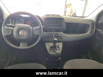 Fiat Panda 1.0 firefly hybrid s&s 70cv 5p.ti (16)