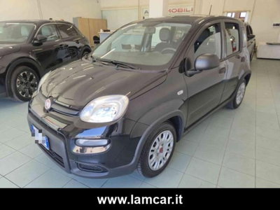 Fiat Panda 1.0 firefly hybrid s&s 70cv 5p.ti (5)