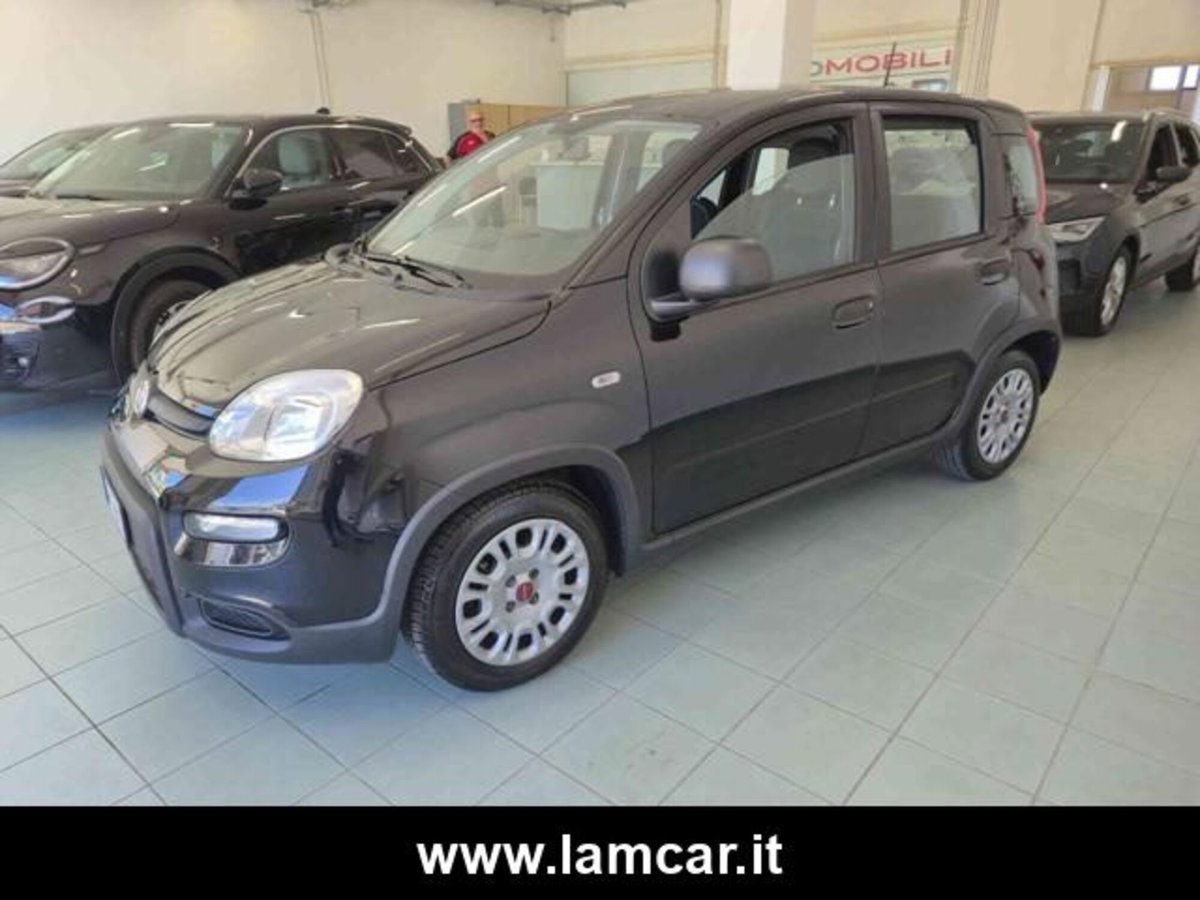 Fiat Panda 1.0 firefly hybrid s&s 70cv 5p.ti (6)