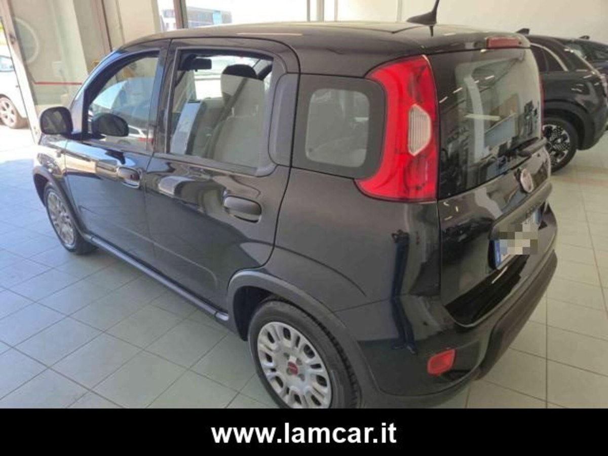 Fiat Panda 1.0 firefly hybrid s&s 70cv 5p.ti (7)