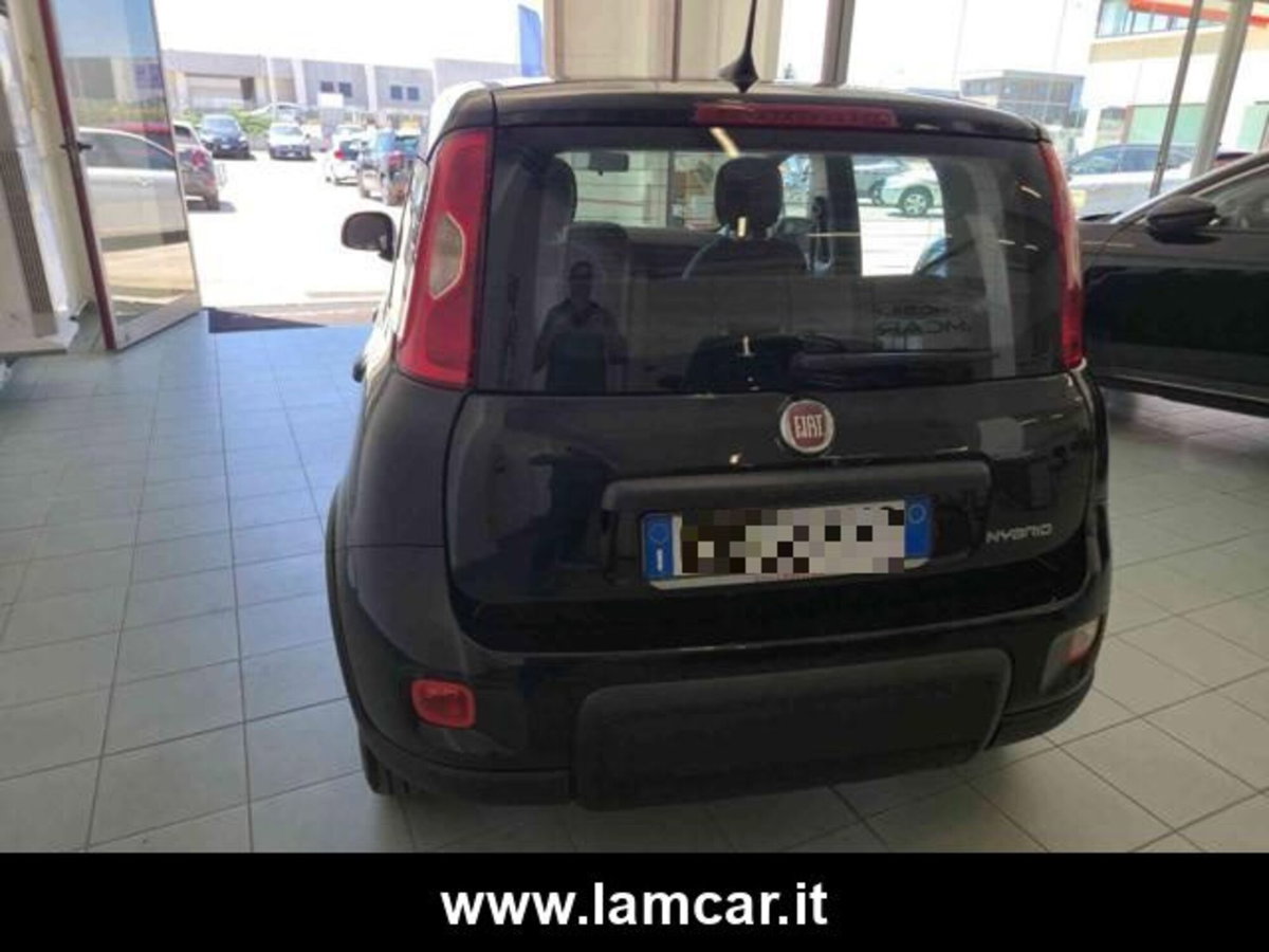 Fiat Panda 1.0 firefly hybrid s&s 70cv 5p.ti (8)