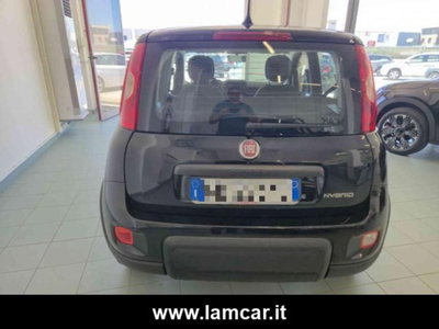 Fiat Panda 1.0 firefly hybrid s&s 70cv 5p.ti (9)