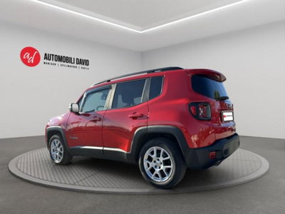 Jeep Renegade 1.6 Mjt DDCT 120 CV Business (3)
