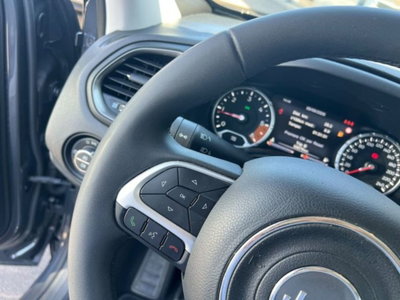 Jeep Renegade 1.6 mjt Limited 2wd 130cv (13)