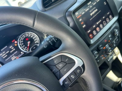 Jeep Renegade 1.6 mjt Limited 2wd 130cv (14)