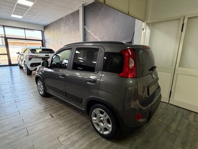 Fiat Panda 1.0 FireFly S&S Hybrid (2)