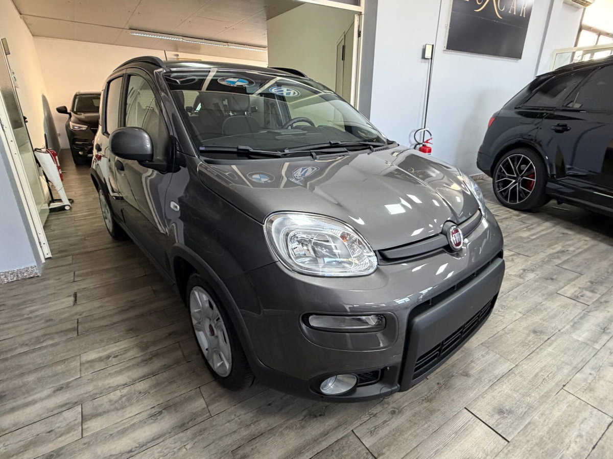 Fiat Panda 1.0 FireFly S&S Hybrid (4)