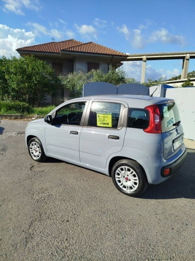 Fiat Panda 1.2 Easy (5)