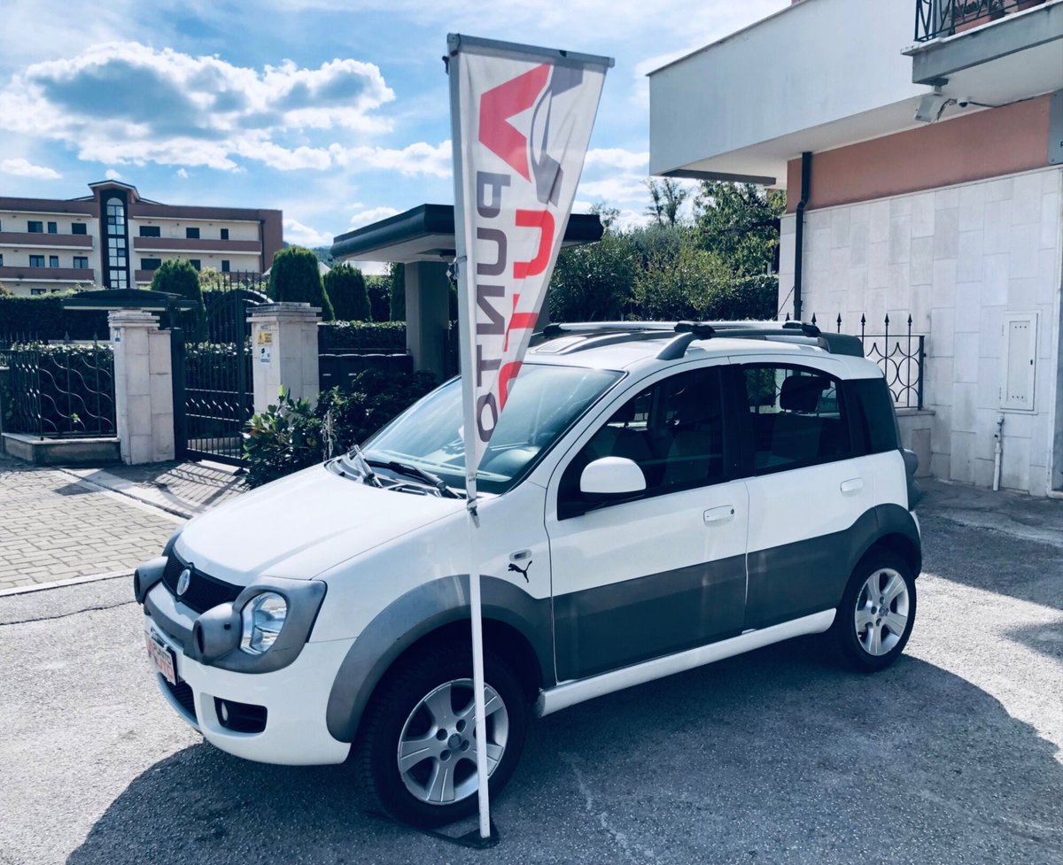 Fiat Panda 1.3 MJT 16V 4x4 Cross (19)