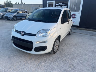 Fiat Panda 1.2 Pop usata