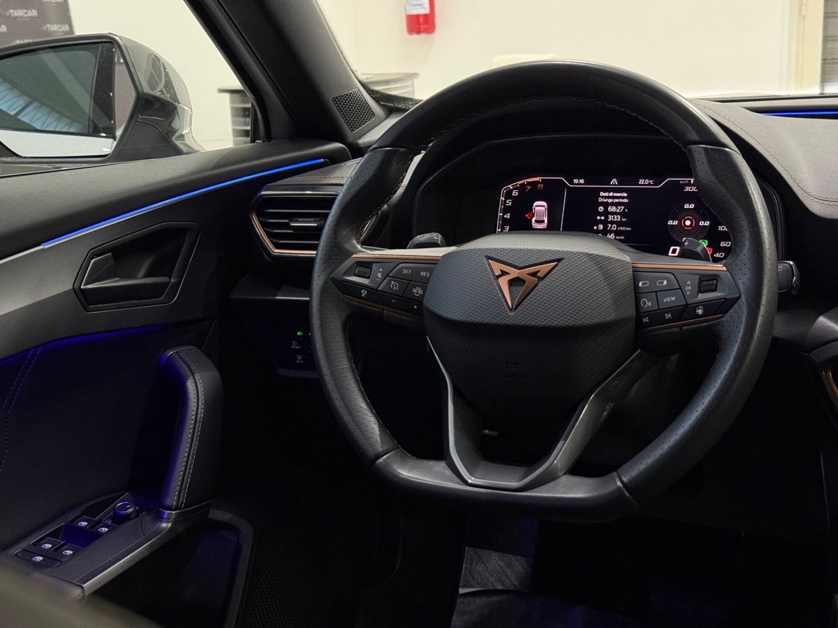 Cupra Formentor Formentor 1.5 TSI (13)