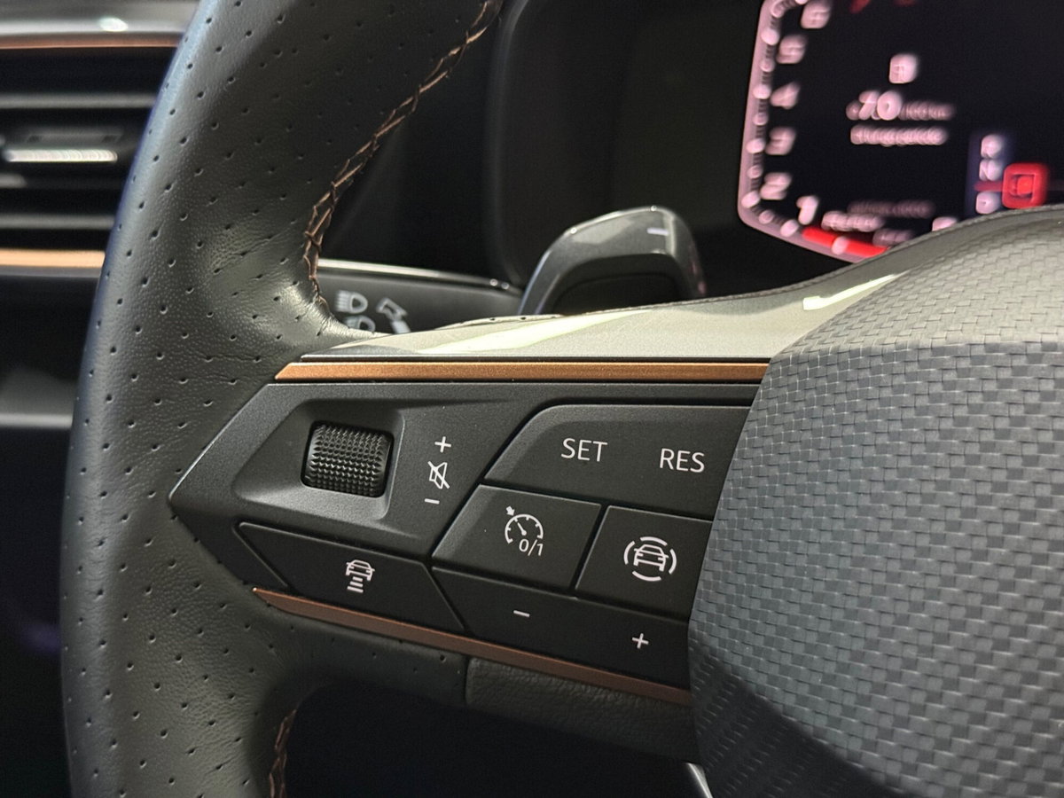 Cupra Formentor Formentor 1.5 TSI (15)