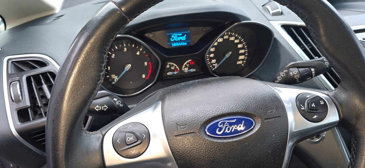 Ford C-Max 1.6 TDCi 115CV Titanium (19)