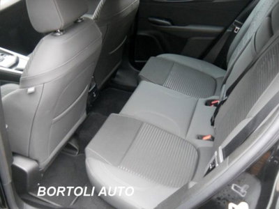 Alfa Romeo Tonale 1.6 Tonale 130cv tct6 (10)