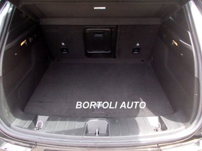 Alfa Romeo Tonale 1.6 Tonale 130cv tct6 (11)