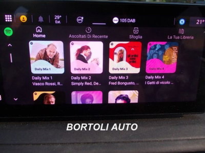 Alfa Romeo Tonale 1.6 Tonale 130cv tct6 (17)