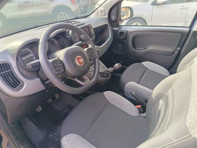 Fiat Panda 1.0 firefly hybrid s&s 70cv 5p.ti (10)